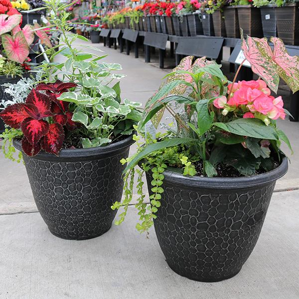 Deck Planter Annual  - 14in