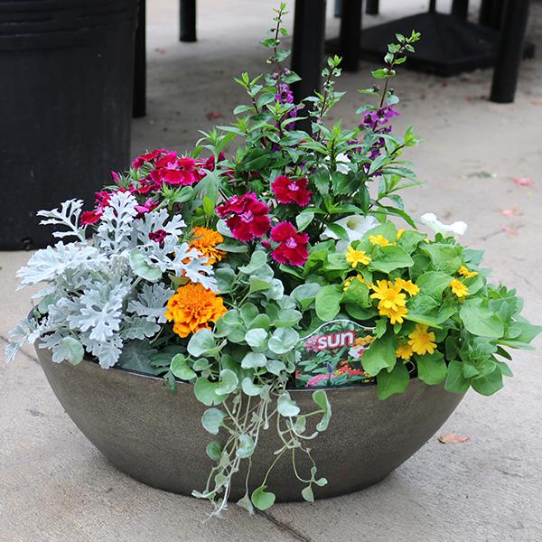 Flowering Oval Planter