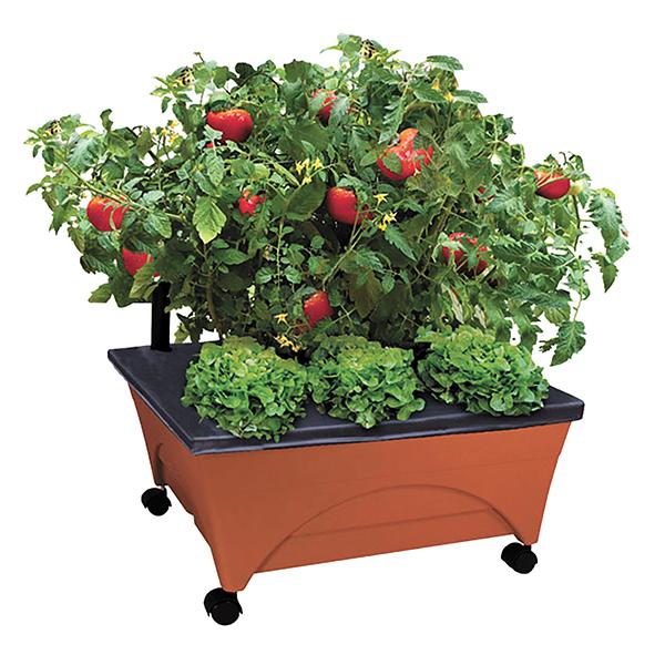 Emsco City Picker Raised Garden Kit - 20" x 24"