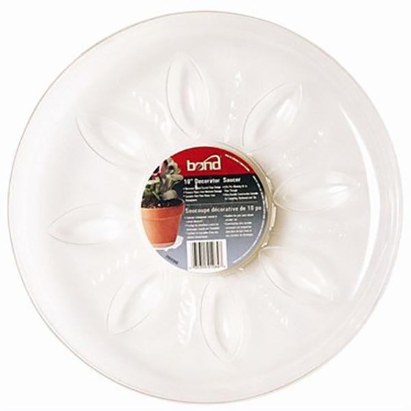 Saucer Plus Vinyl Clear  - 12 in
