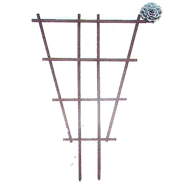 Trellis Pressure Treated Western - 48 in x 33 in