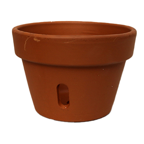Clay Orchid Pot - 6 in