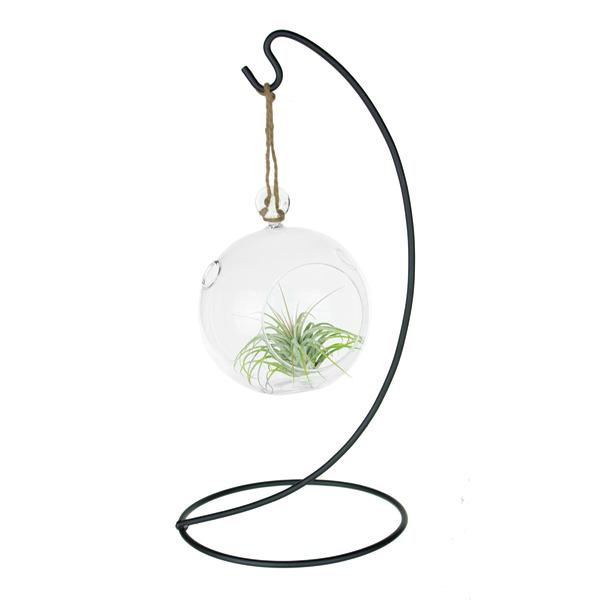 Terrarium with Stand - 5.25 in