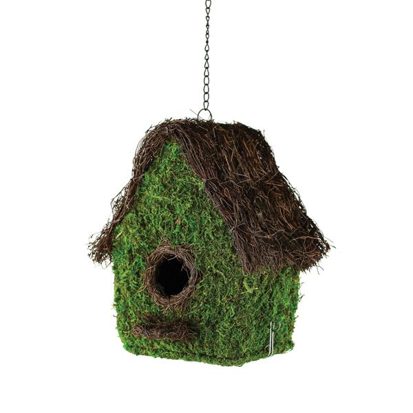 Birdhouse Moss (Emily) - 10 in