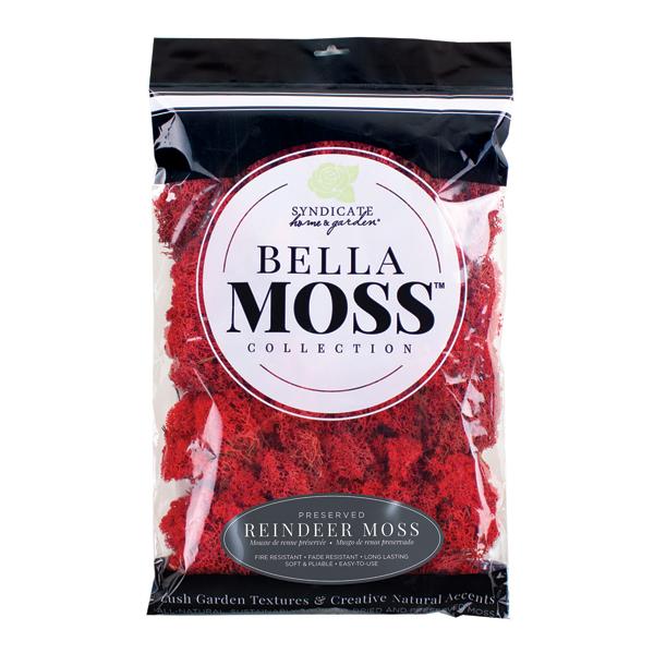 Bella Moss Cherry - 200 cu in