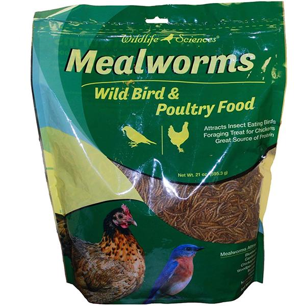 Mealworm Bird Food - 7 oz