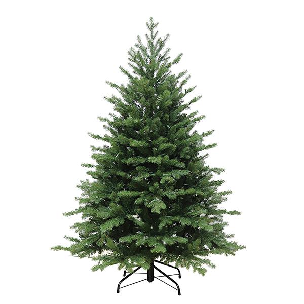 Norway Spruce - 5.0 ft