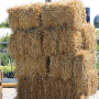  Straw Bale - Full