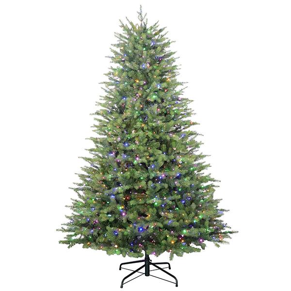 Harley Jasper - 7.5 ft