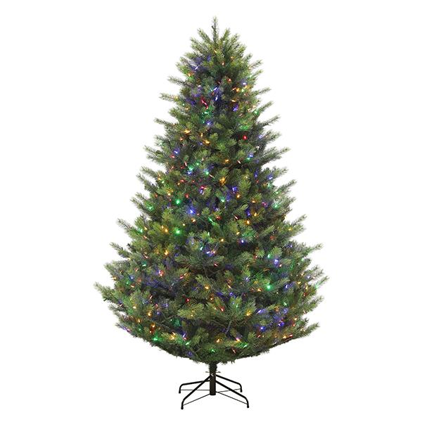 Glendale Spruce - 7.5 ft