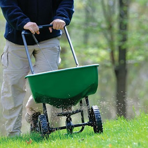 Lawn Care