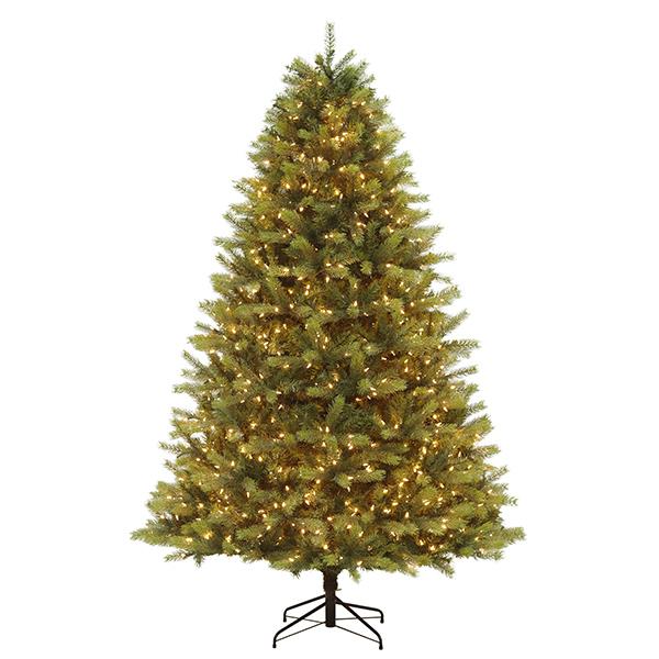 Kensington Fir - 9 ft