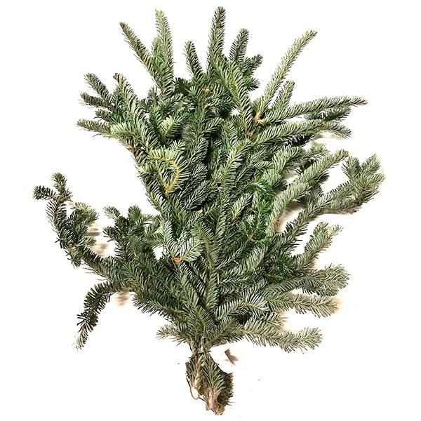 Fraser Fir Greenery Bunch