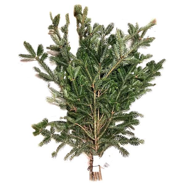 Large Fraser Fir Greenery Bunch