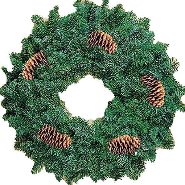 Noble Fir Wreath with Pine Cones - 16 in