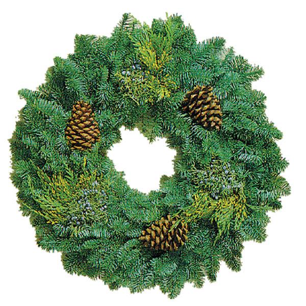 West Coast Mixed Wreath with Pine Cones - 20 in