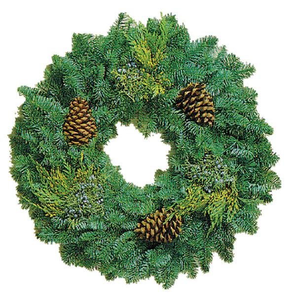 West Coast Mixed Wreath with Pine Cones - 22 in