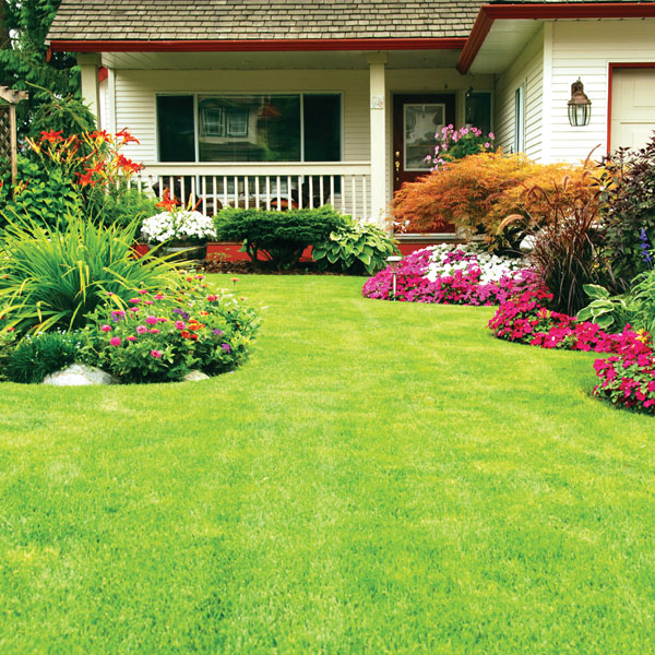 Lawn & Garden