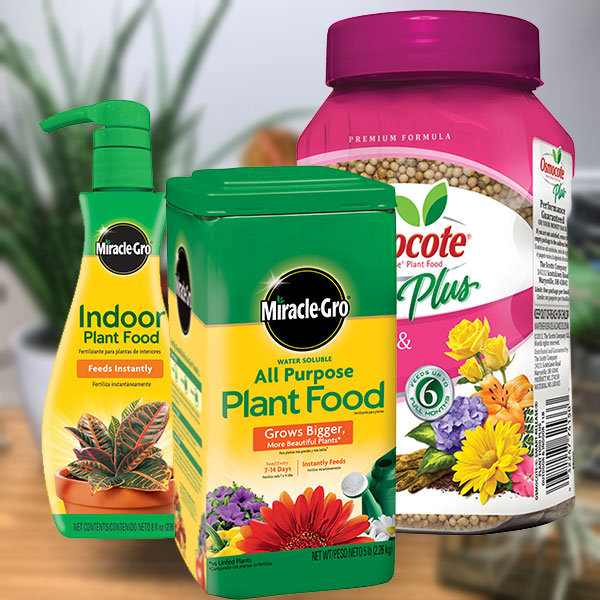 Houseplant Fertilizers