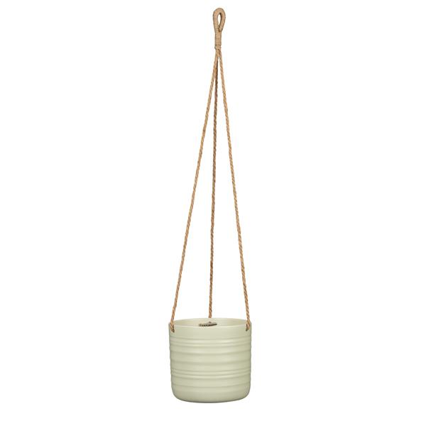 Hanging Pot Silent Green - 6.5 in