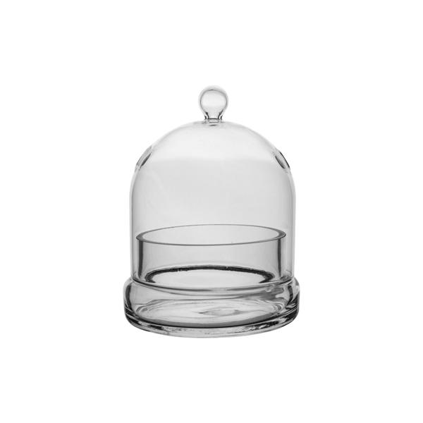 Glass Terrarium Cloche - 6 in