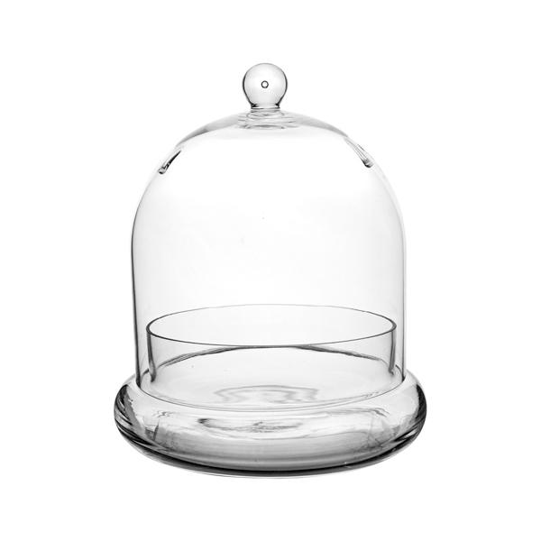 Glass Terrarium Cloche - 8 in