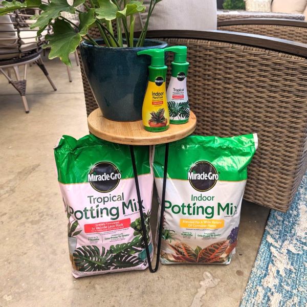 Houseplant Accessories