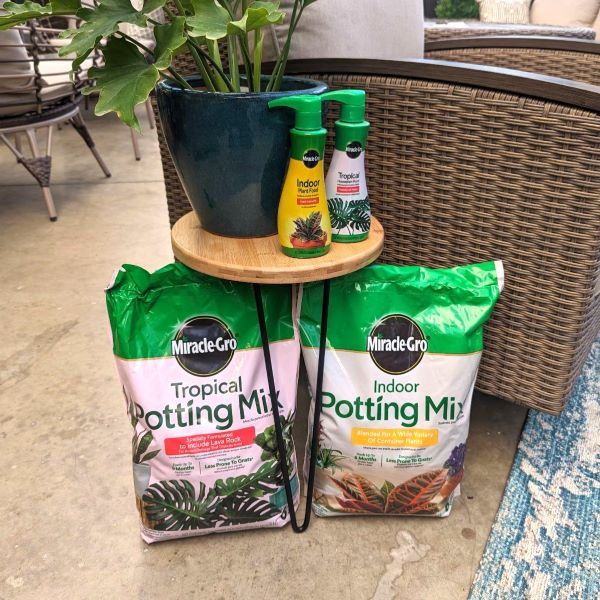 Houseplant Accessories