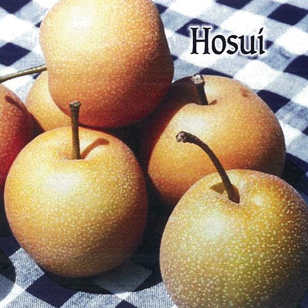Pear, Hosui Asian Dwarf--7 gallon