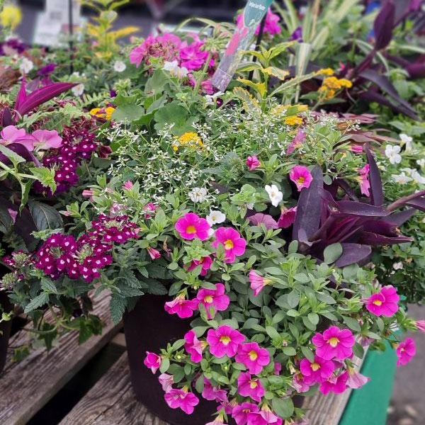 Garden Element Planter - 14in