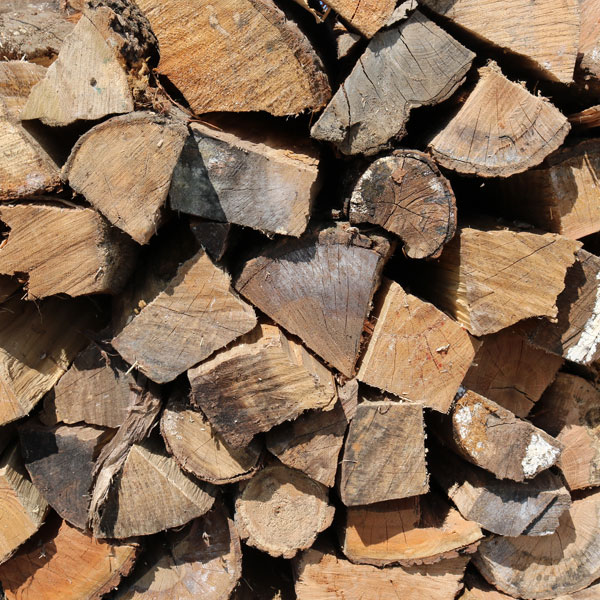 Firewood